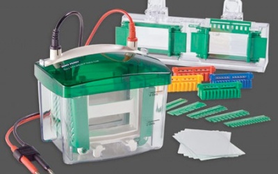 Câu trả lời của Viện 10 năm sử dụng TBYT của Bio-Rad